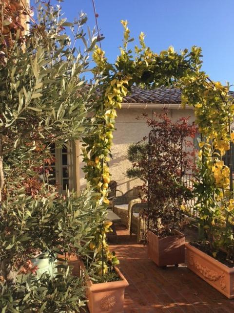 Chantemerle-lès-Grignan Domaine Le Bois Des Dames B&B 외부 사진