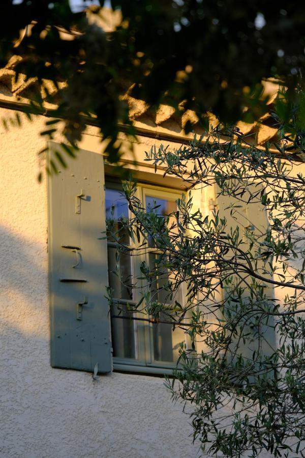 Chantemerle-lès-Grignan Domaine Le Bois Des Dames B&B 외부 사진