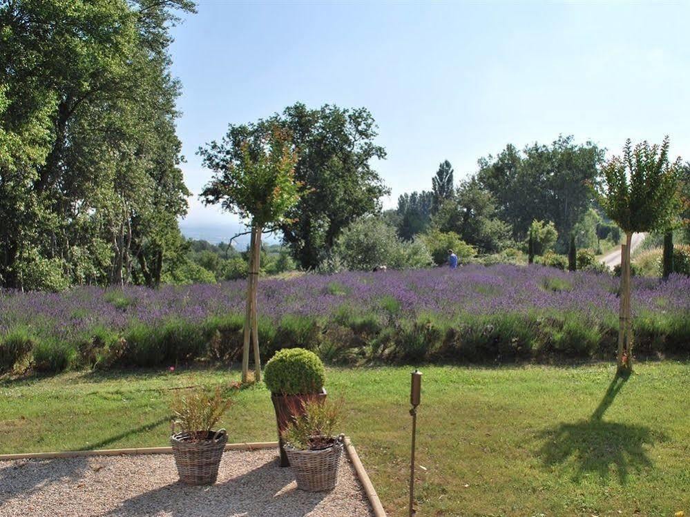 Chantemerle-lès-Grignan Domaine Le Bois Des Dames B&B 외부 사진
